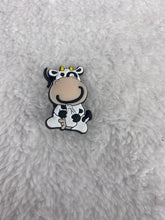 Load image into Gallery viewer, Individual Croc Jibbitz